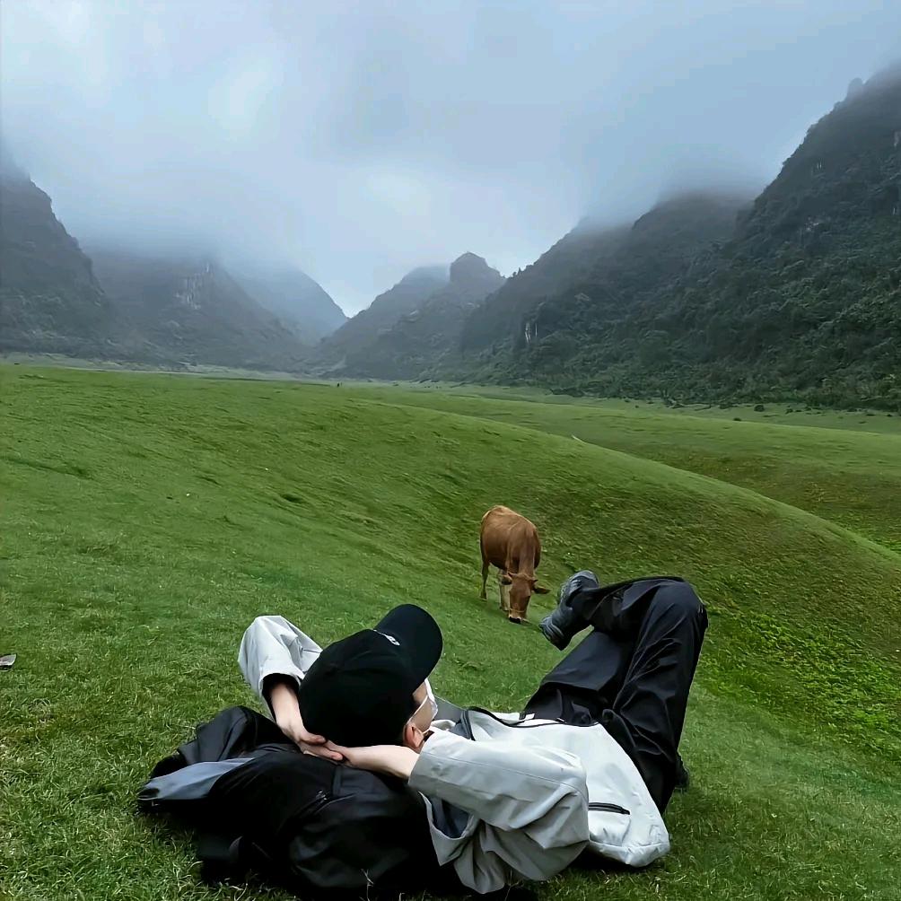 风雨无畏