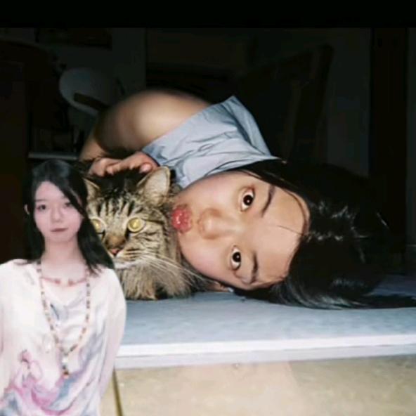 主播是狗叫直播中……