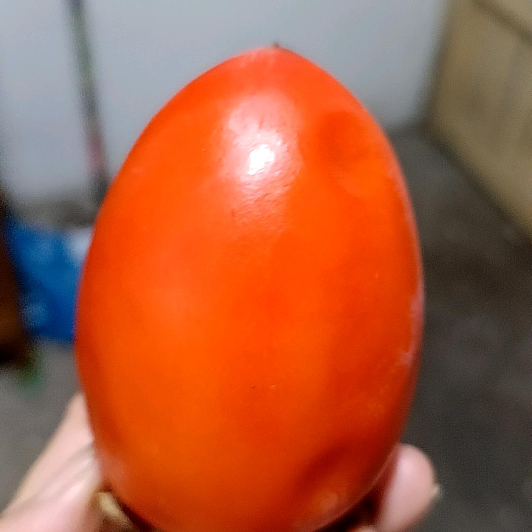 你以前的事我不管。现在对我真心没有欺骗