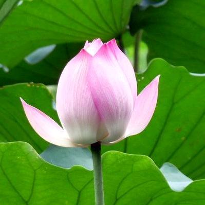 随缘（彬彬新同学）