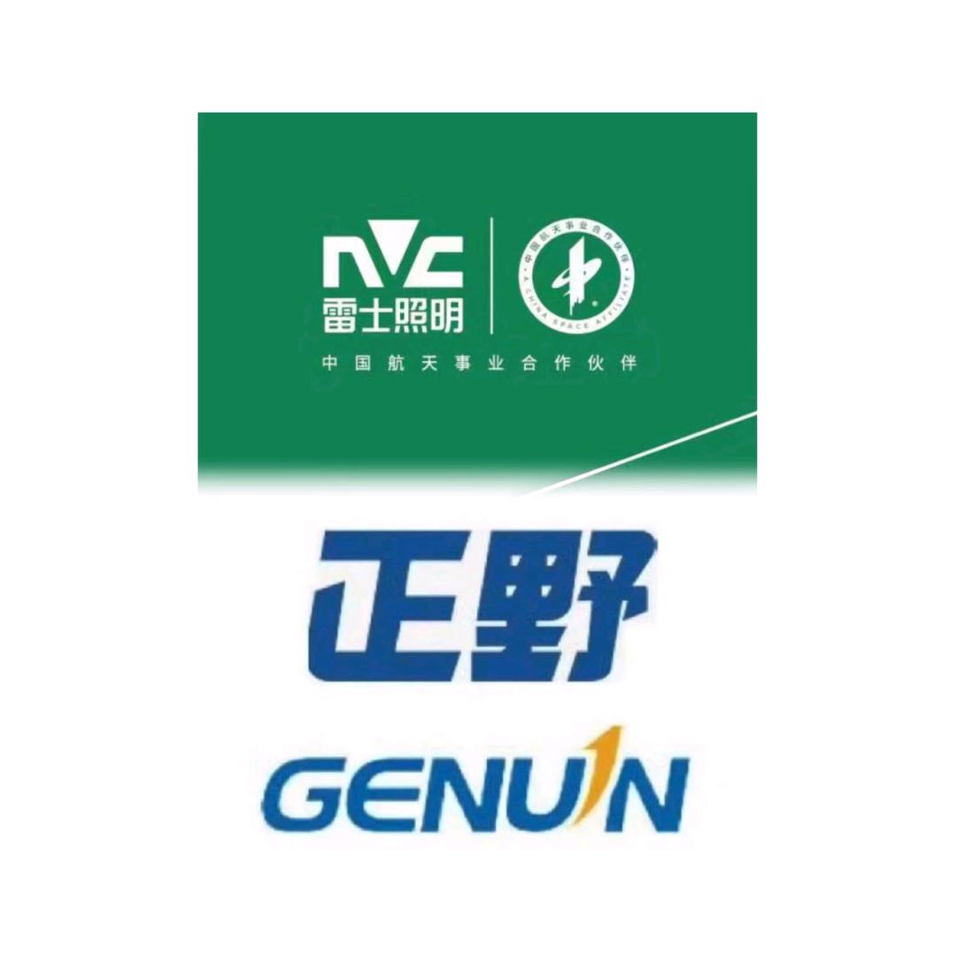 雷士照明--正野新风