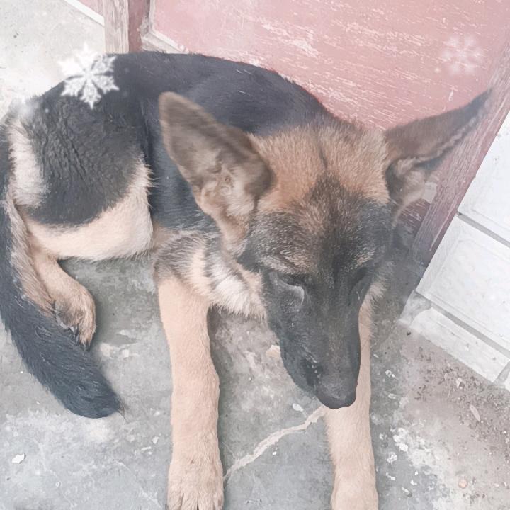 (￥A￥)۶恭喜发财