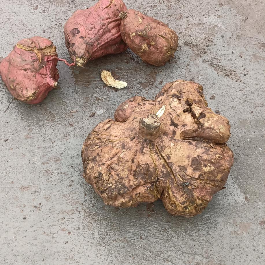 无聊的时候看下抖音陈哥