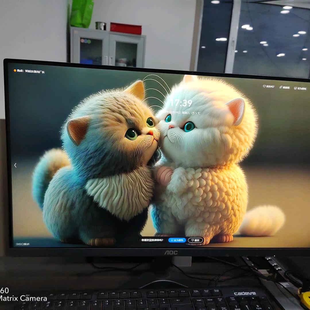 @我是一只猫🐱