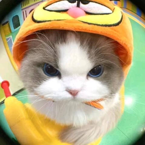 呆萌小兔子๑>ᴗ<๑