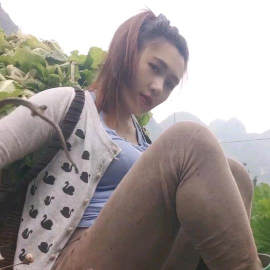 瑶了又瑶