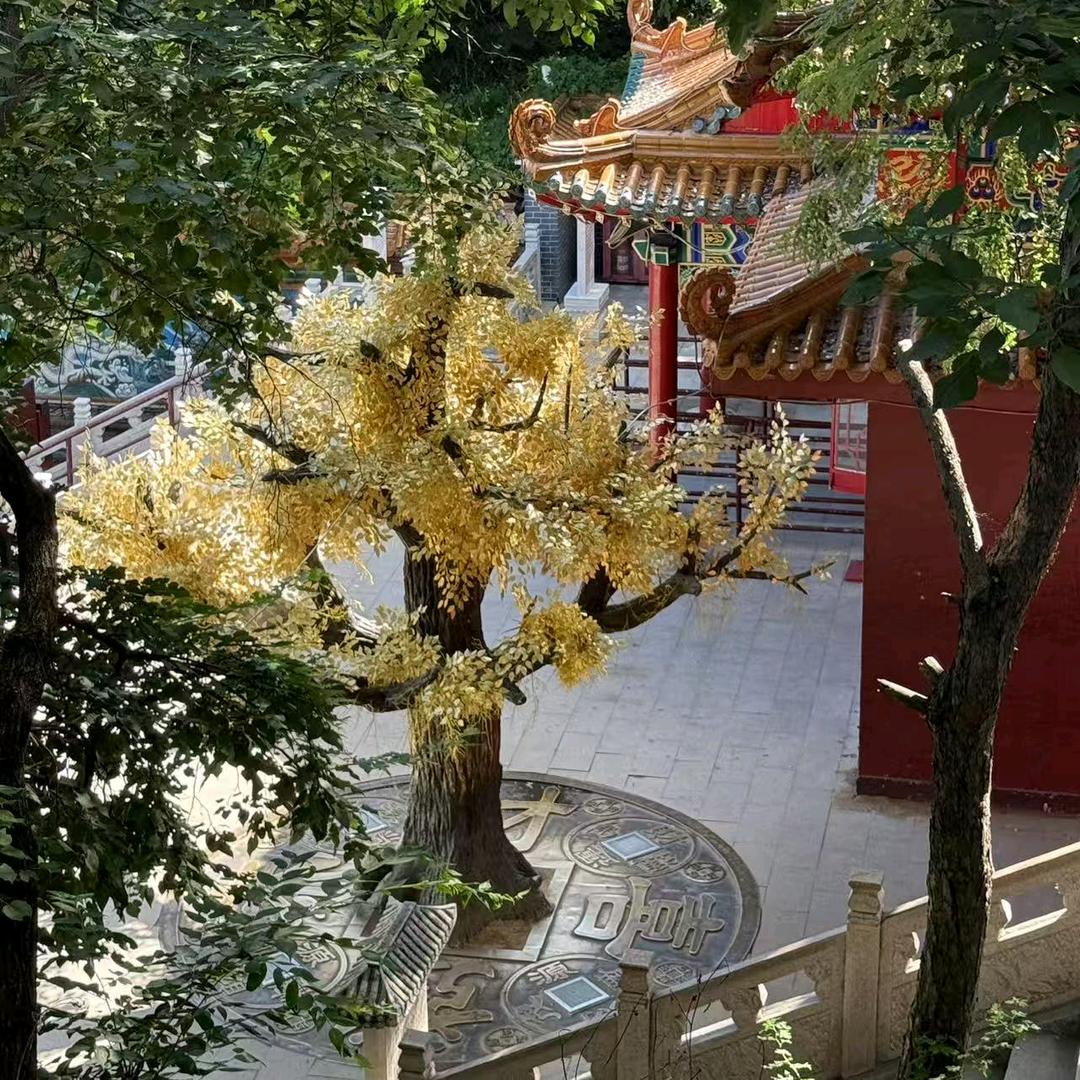微微