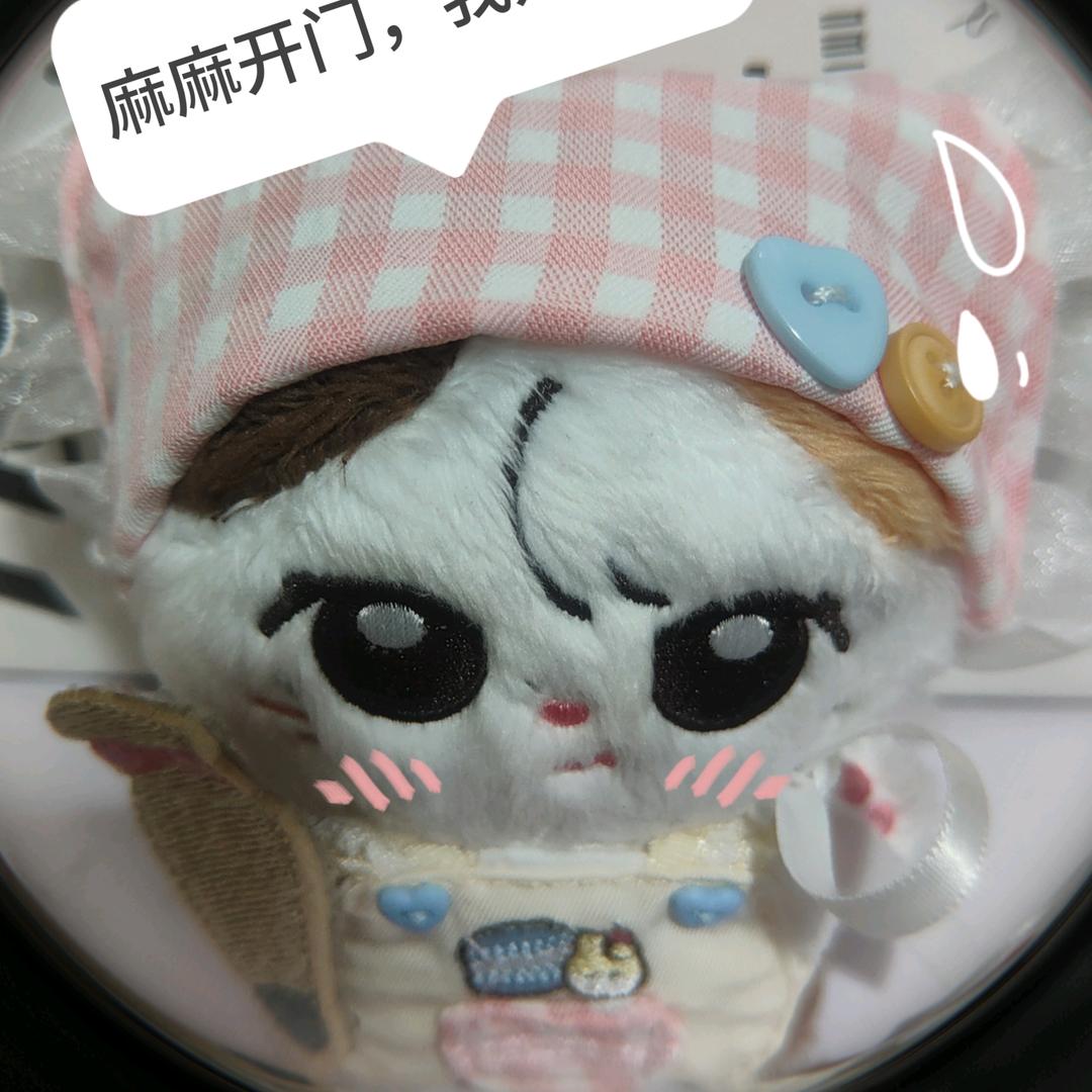 猫猫要天天开心😊