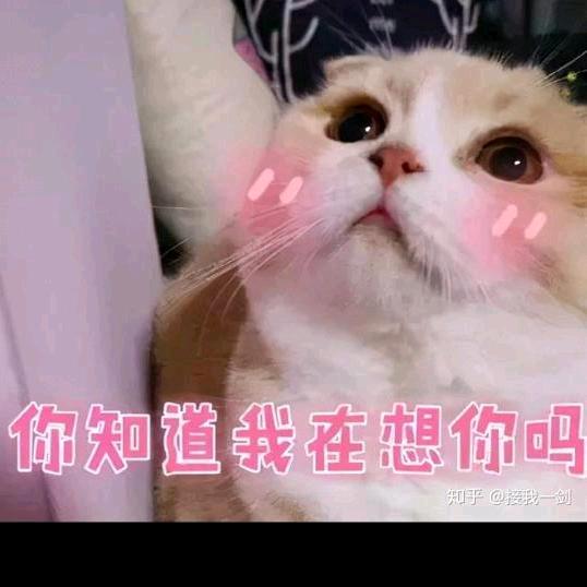 百姓家，四海聚《轮滑星河》