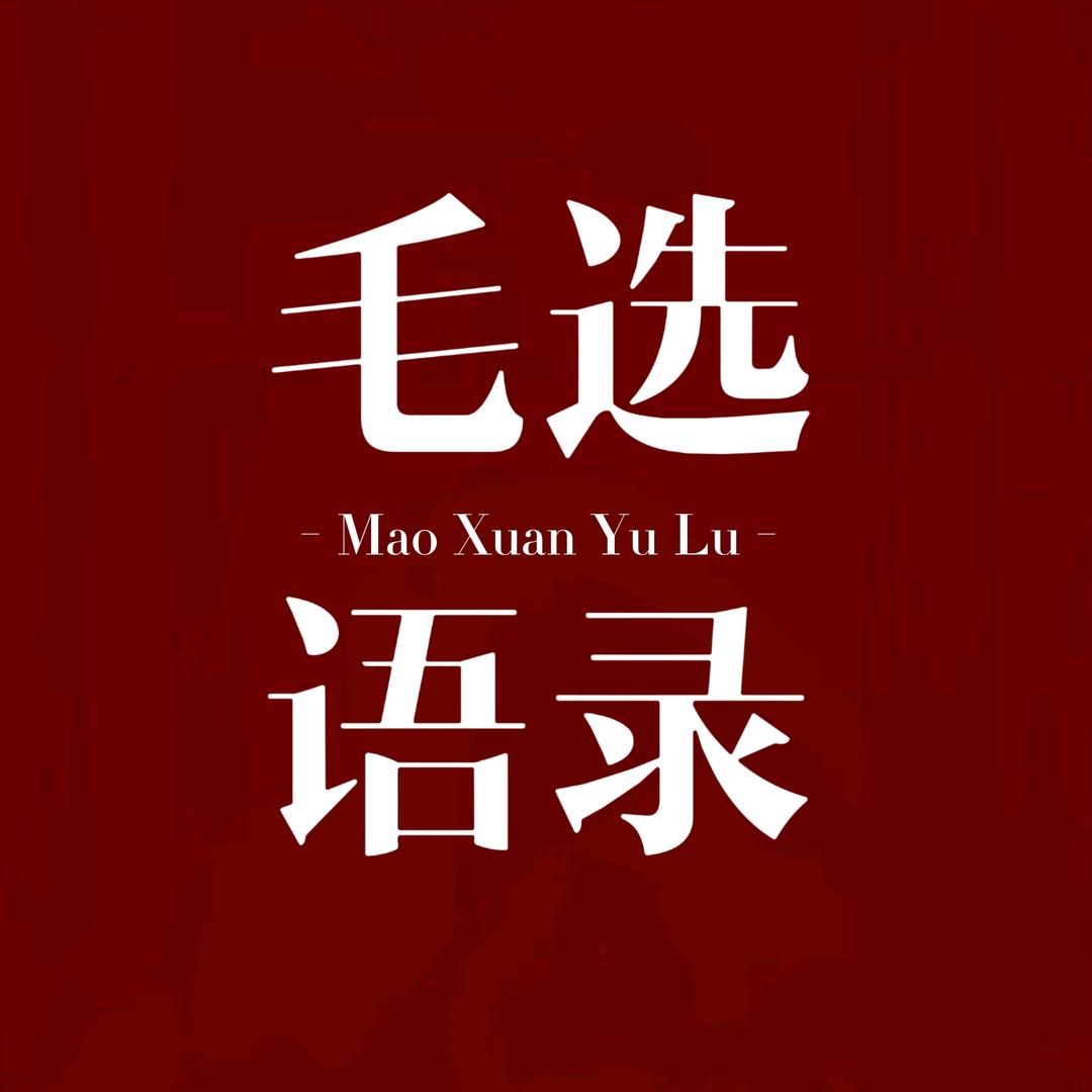 毛选语录
