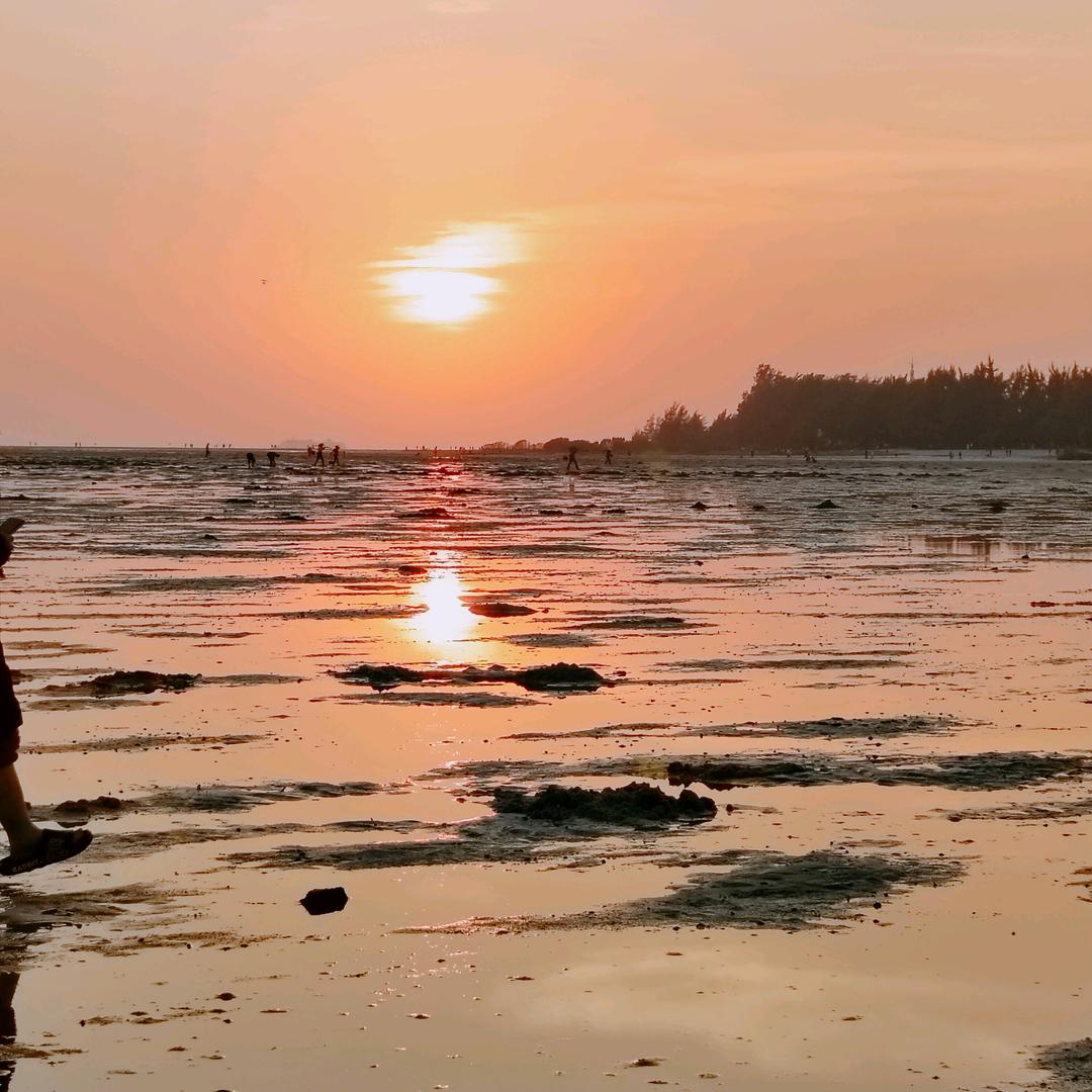 (ღ往♡事‿随♡风ღ漂)