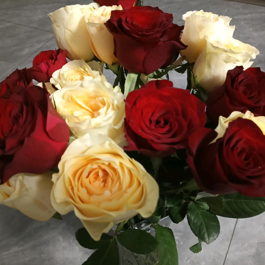 罗家《太太》茶叶批发！零售！♥️♥️