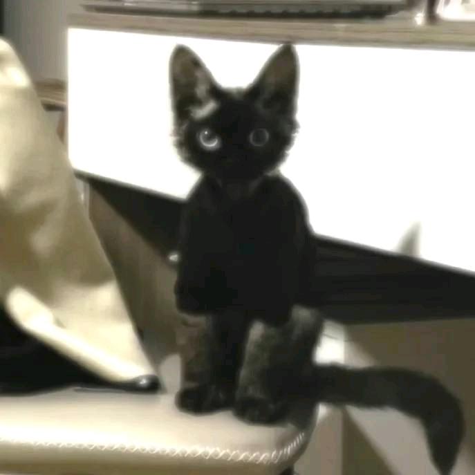 重生之雕馋螺蛳粉