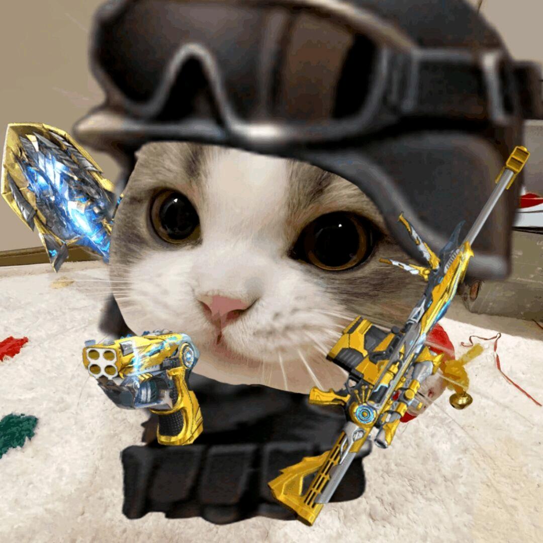 ，
