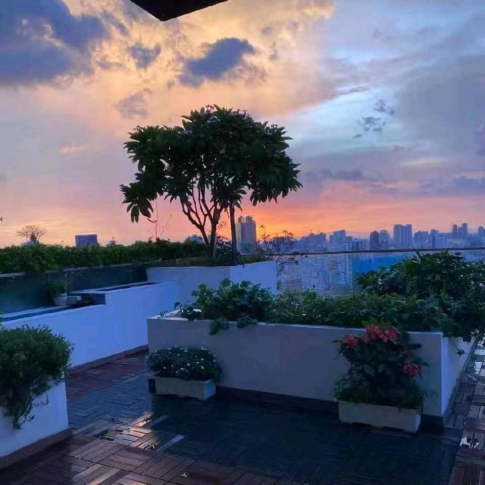 ▛ ▖▗▝ ▖▜▖