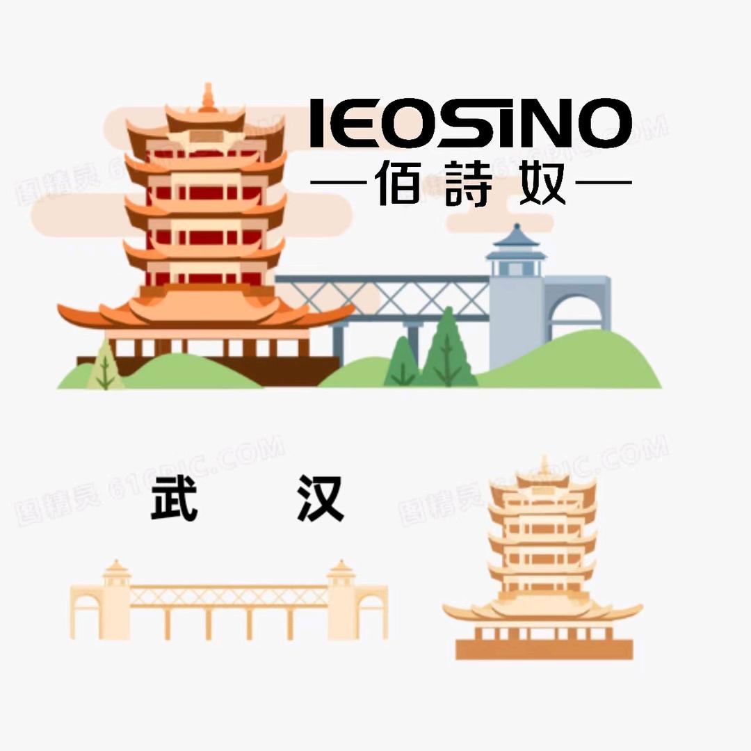 武汉佰诗奴女鞋