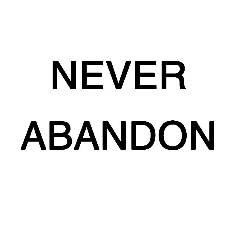 NEVER ABANDON刘德柱