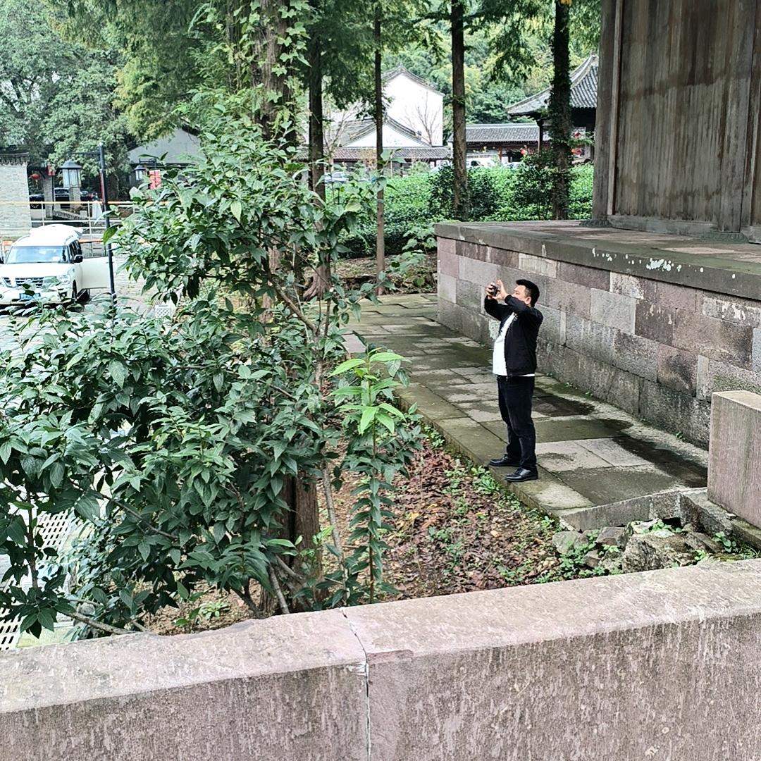 勇王值黔