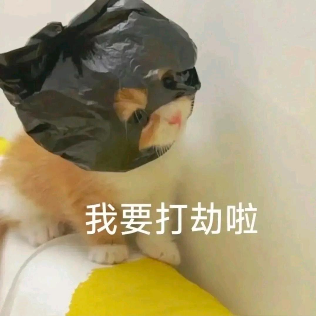 阿狗今天出奇遇了吗