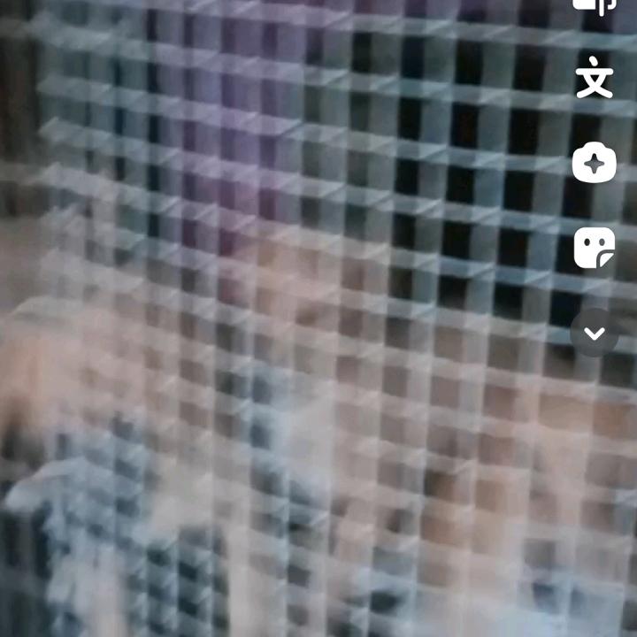 意🌊