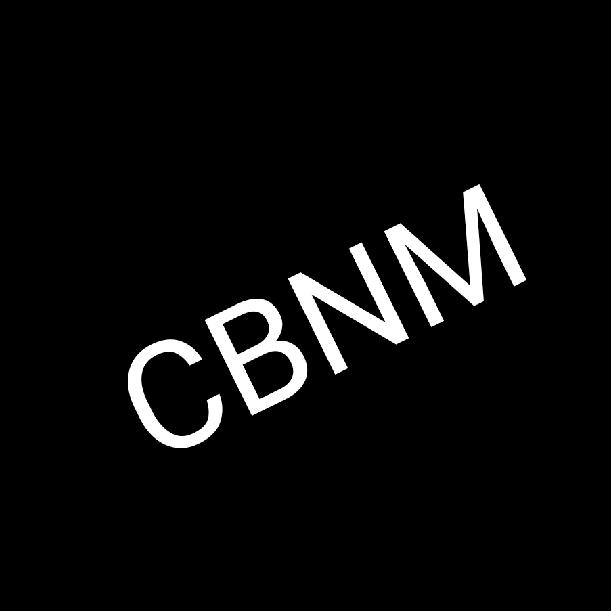 CBNM爱吃三明治🥪头像