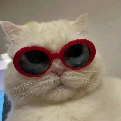 不想学游泳的🐟