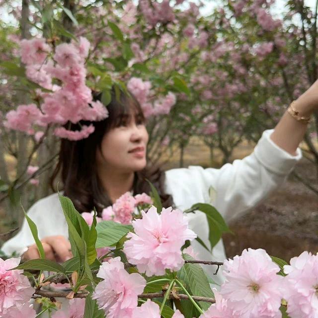 温州芬姐