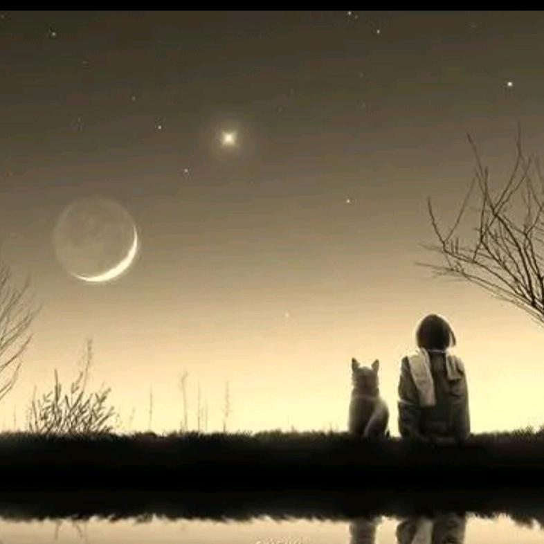 留下一分是尊严