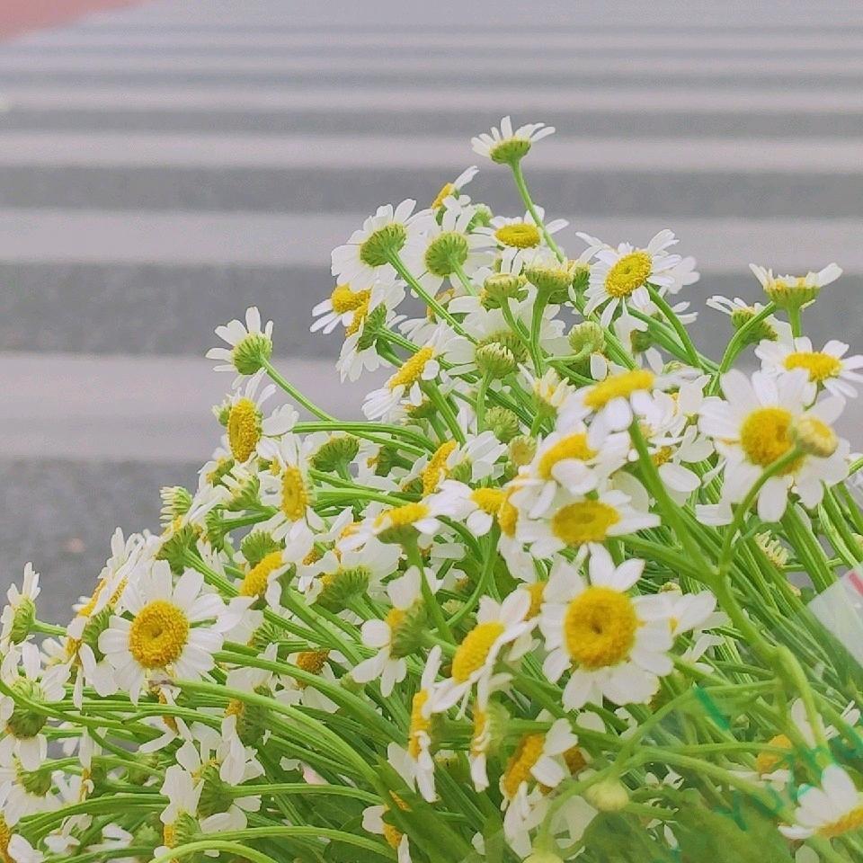 木澜美发官方号
