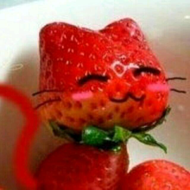 离离原上草🍓🍓🍓🍓