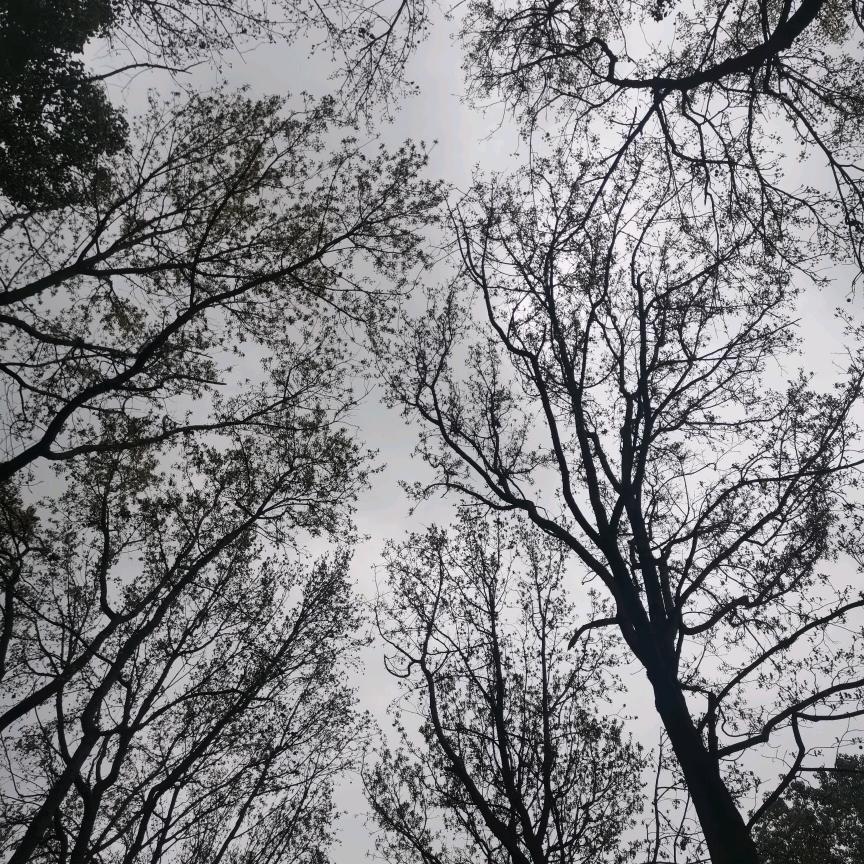 莫莫的小世界