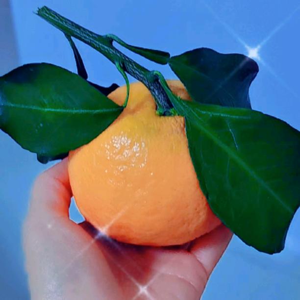 🍒时光🍒🎶安好🎶