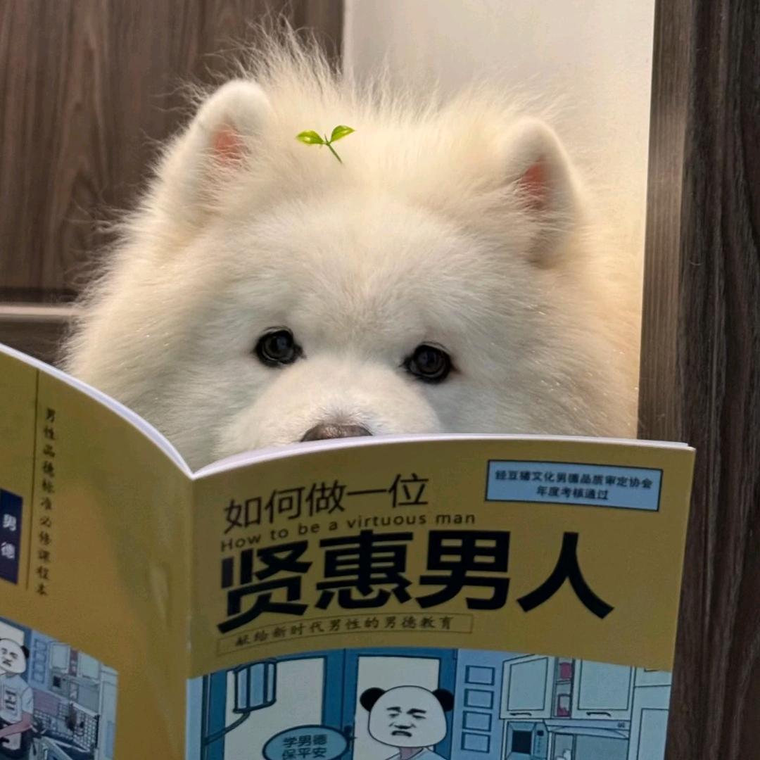 耶