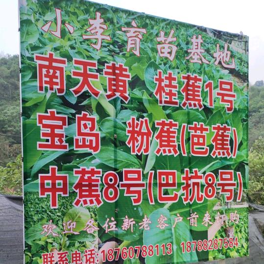流潋紫