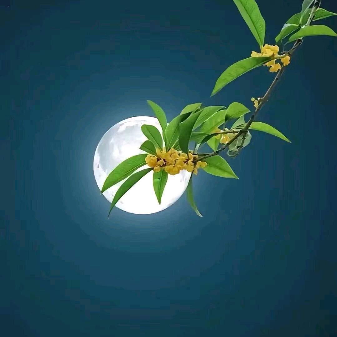 微微一笑