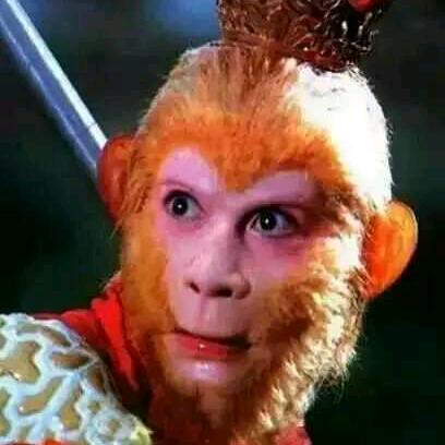 🐒🐒猴哥🐒🐒