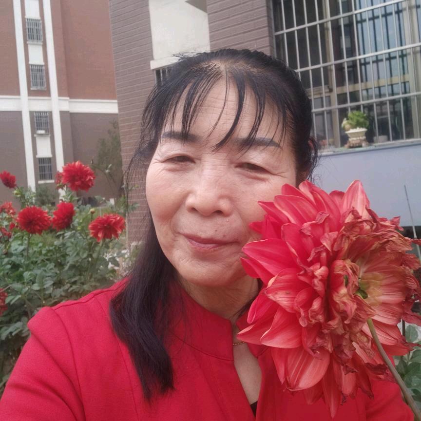 珍珍姐