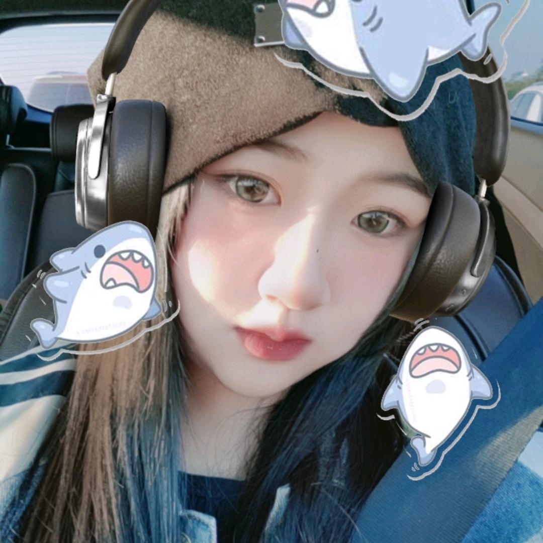A.  一只猫儿