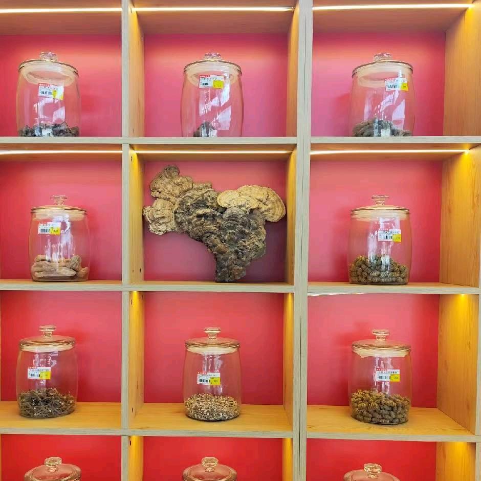 灵沁滋补行