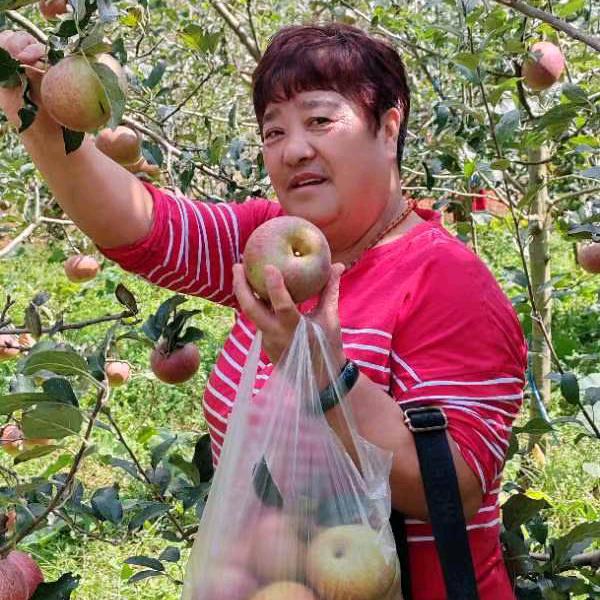 刘桂英