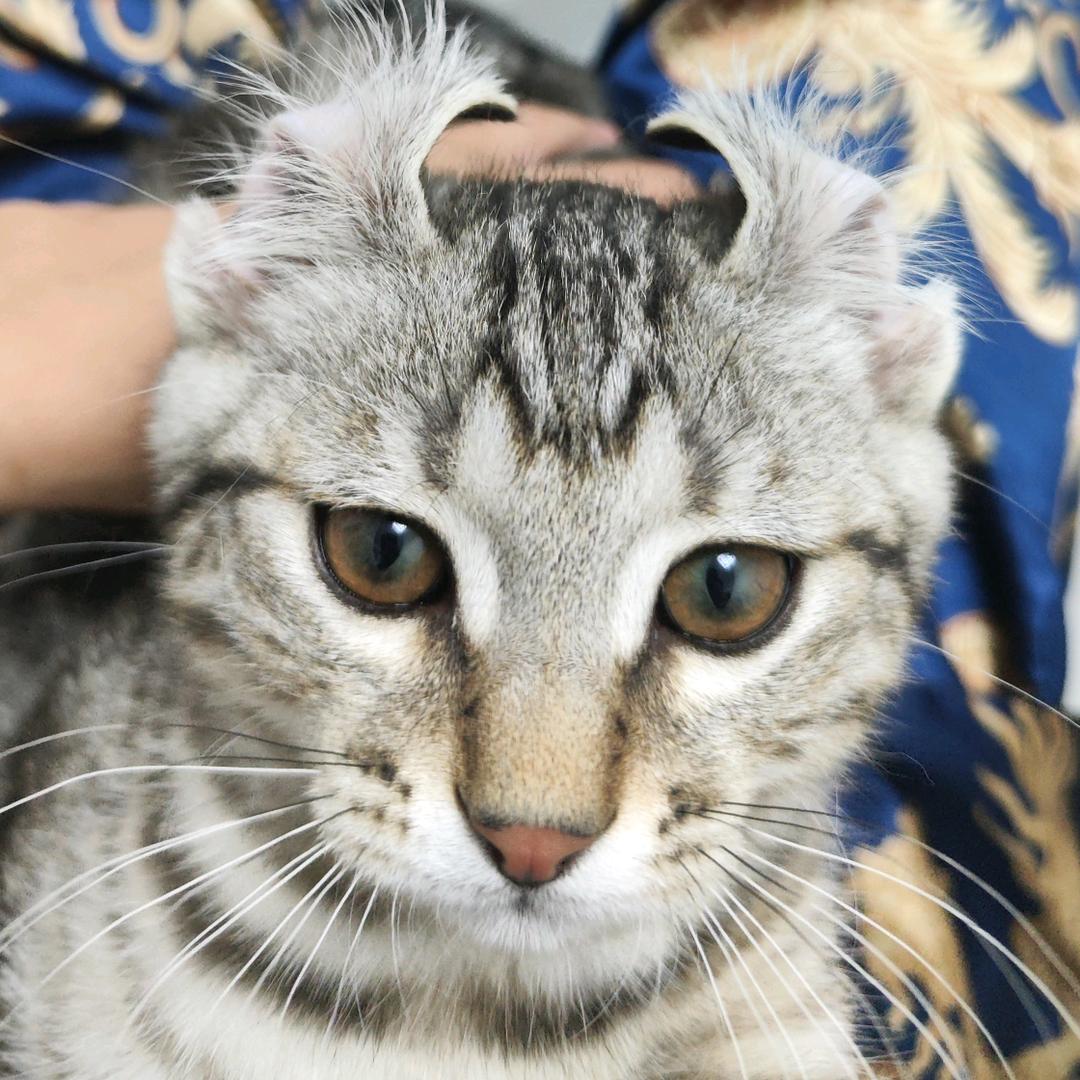 春风负他不负我