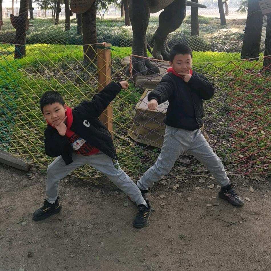 三马琪哥