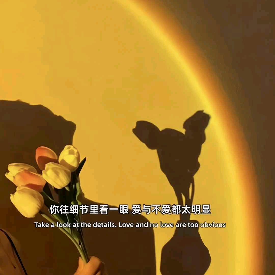赵  财猫🐱