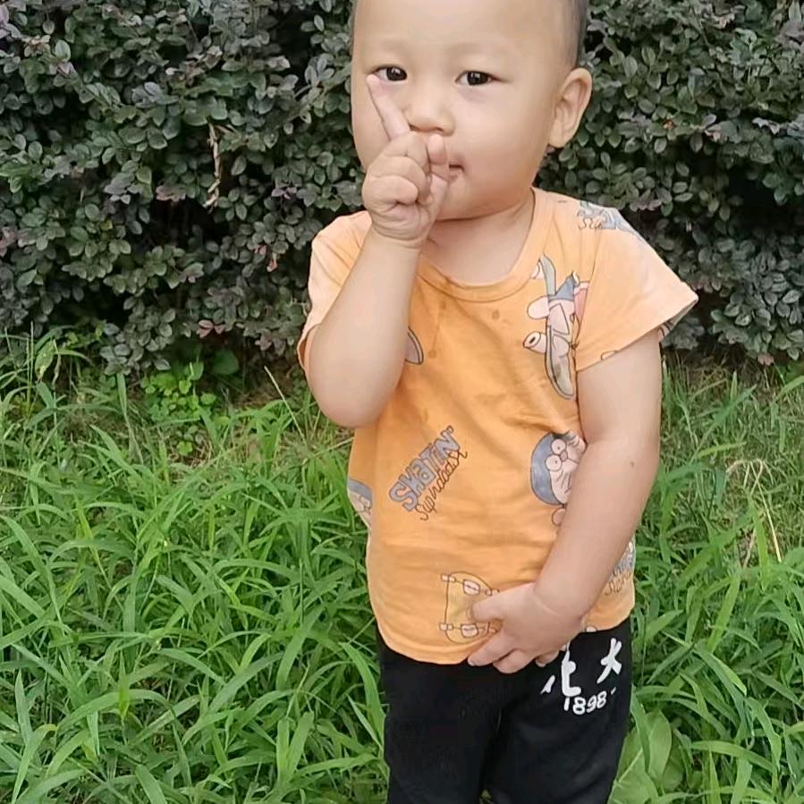 走南闯北，一路长虹