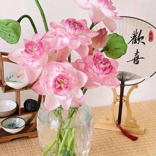 小丫丫