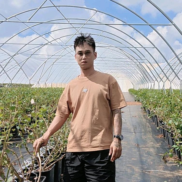 云南 哈尼小马人力资源