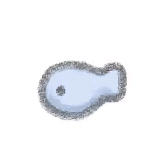 小鱼