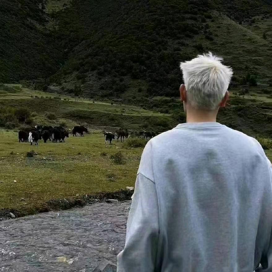 妖狐大大