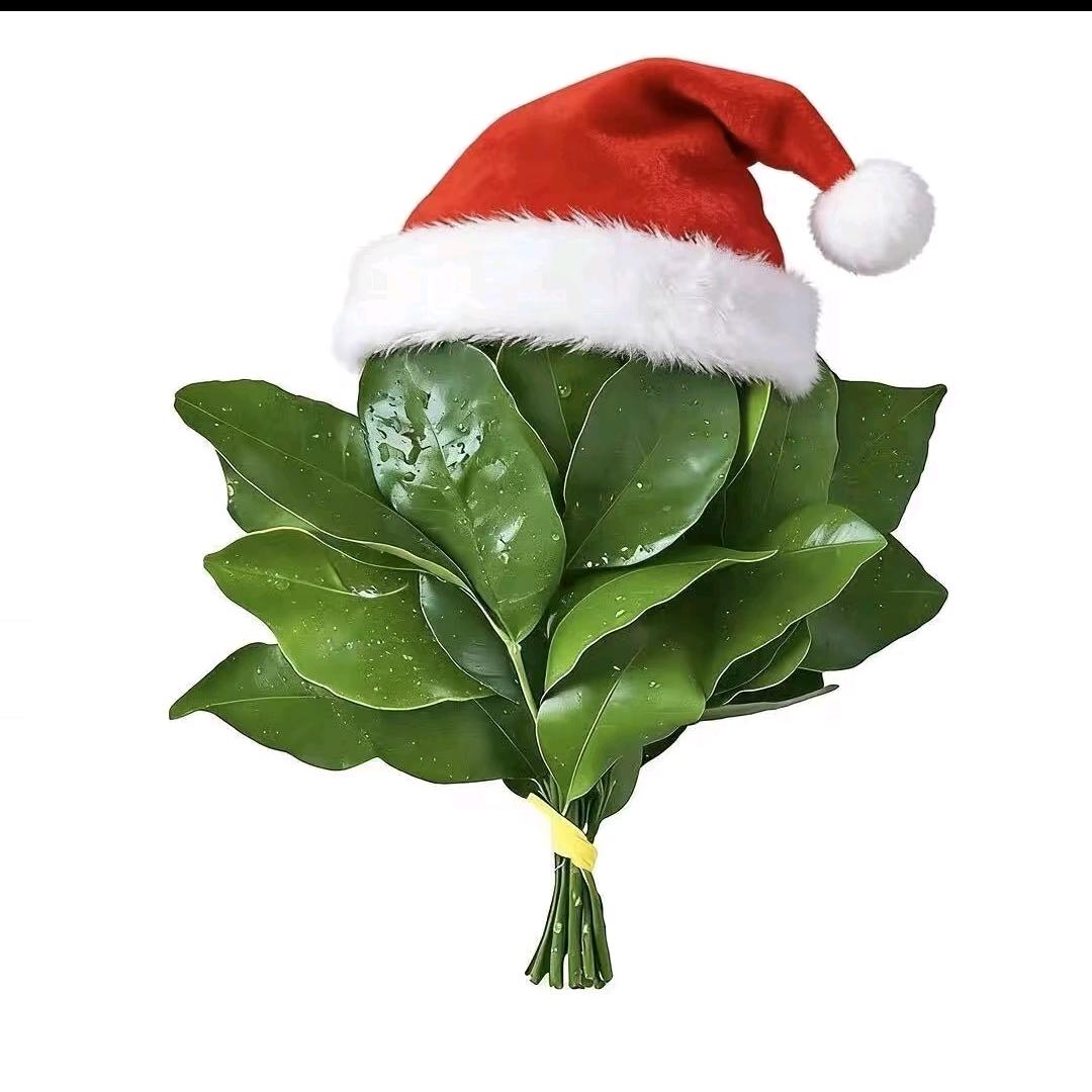 寿先生古方秘艾立体灸～陈利