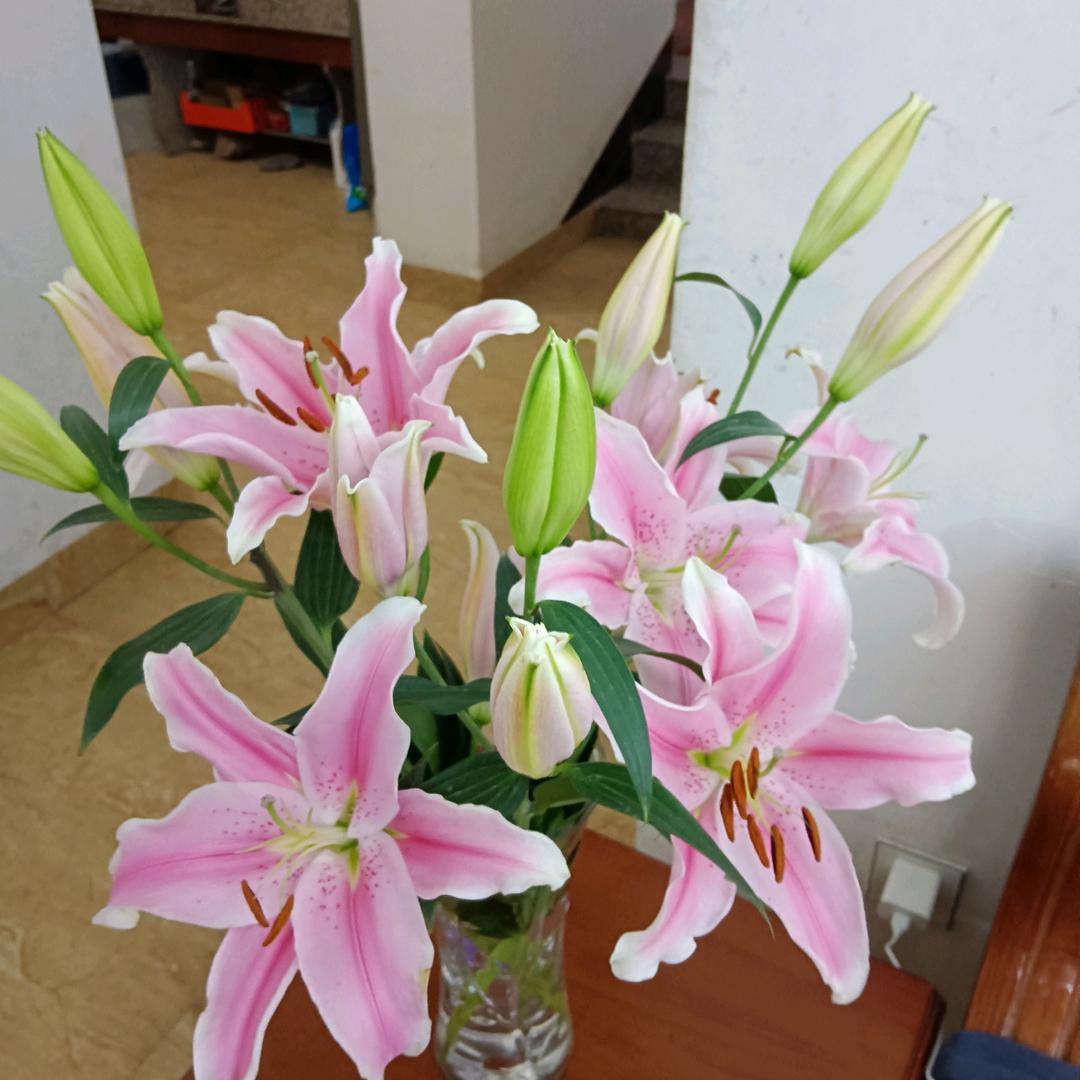 ❤肖失吴踪❤